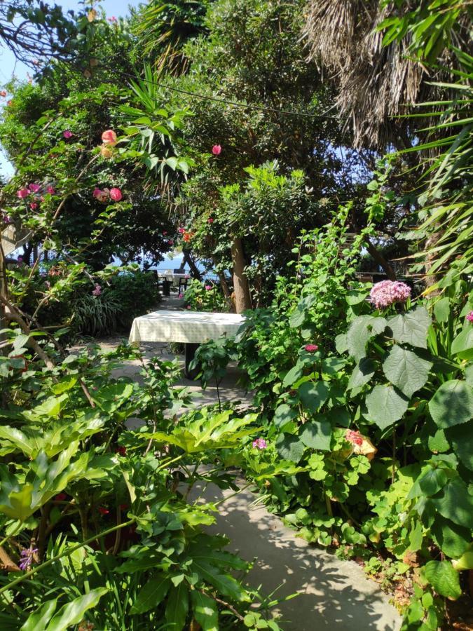 Alonaki Bay Apartment Halikounas Bagian luar foto