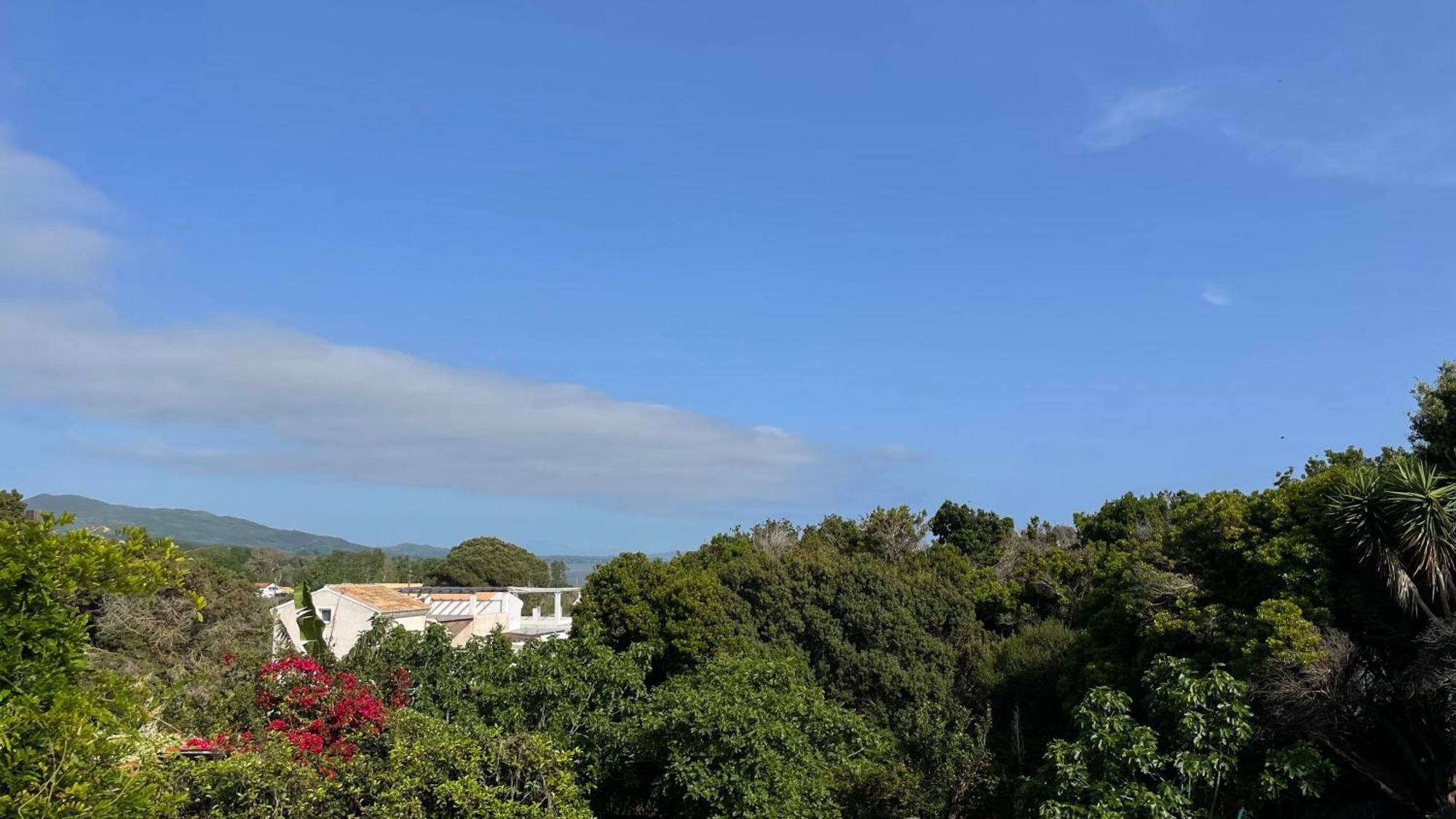 Alonaki Bay Apartment Halikounas Bagian luar foto