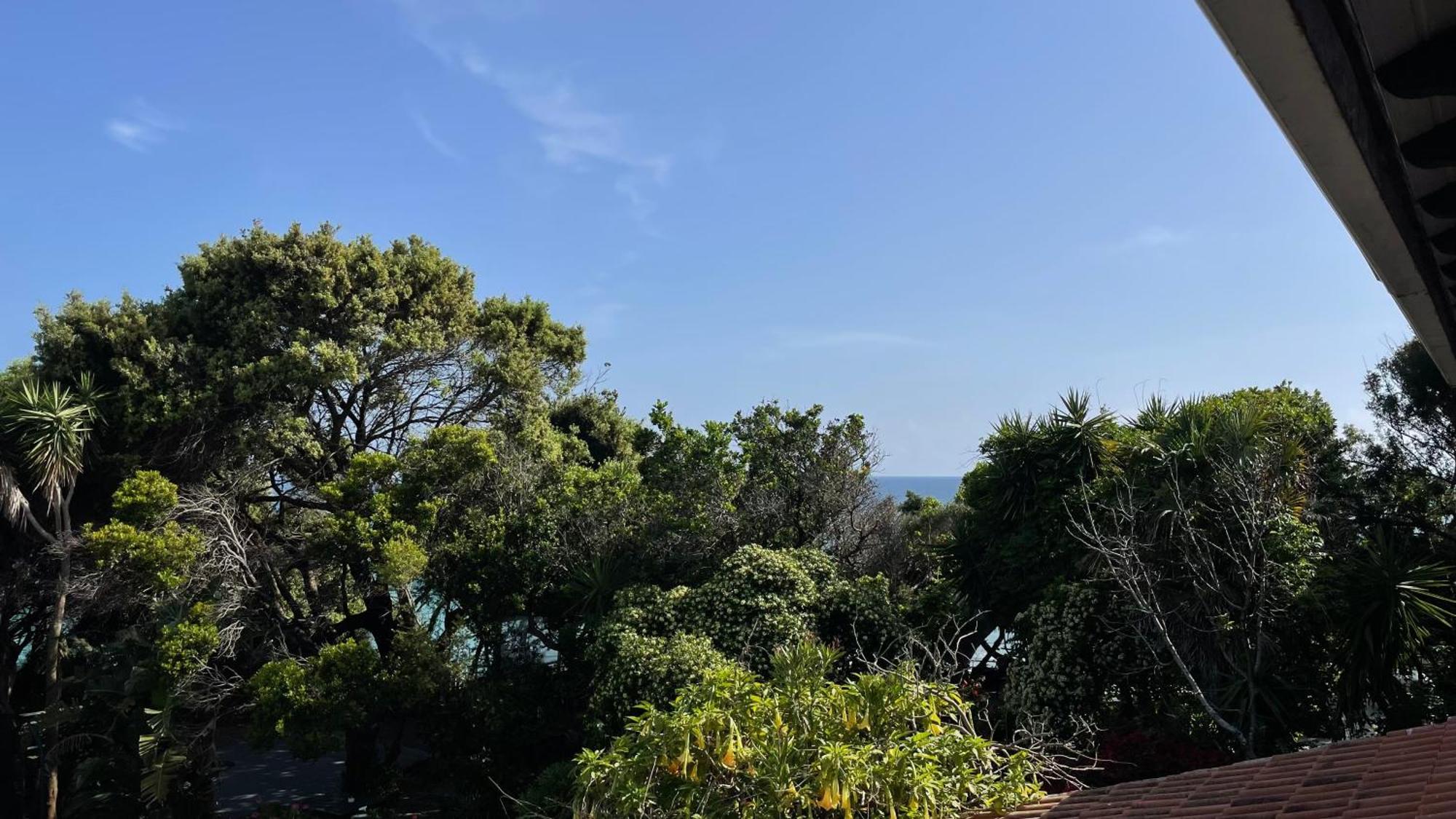 Alonaki Bay Apartment Halikounas Bagian luar foto